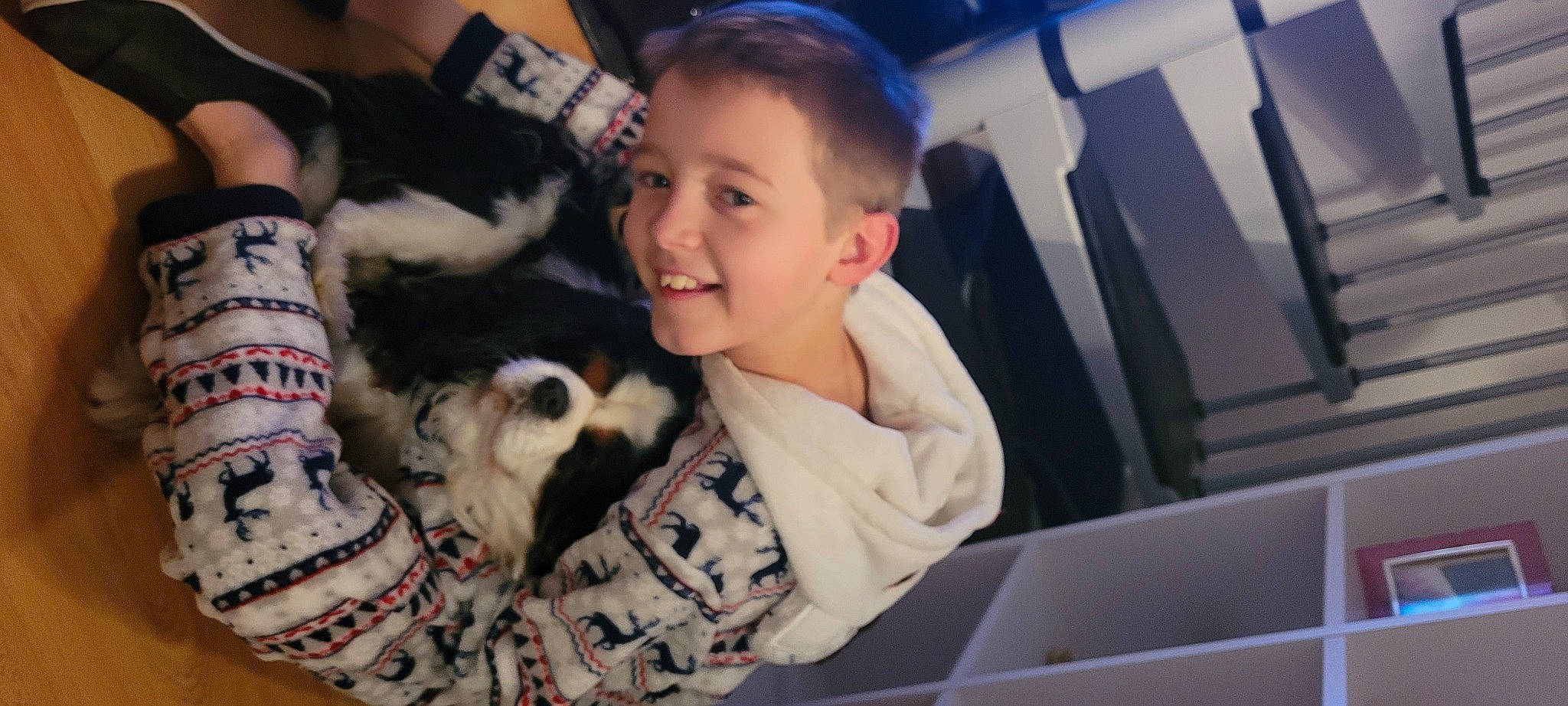 Jicky participe au concours pour gagner de l'argent avec cette photo : carnivore, child, companion_dog, dalmatian, dog_breed, fawn, felidae, flash_photography, fun, fur, fur_clothing, happy, pattern, plaid, sitting, small_to_medium_sized_cats, smile, t_shirt, toddler, whiskers