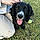 Finley
