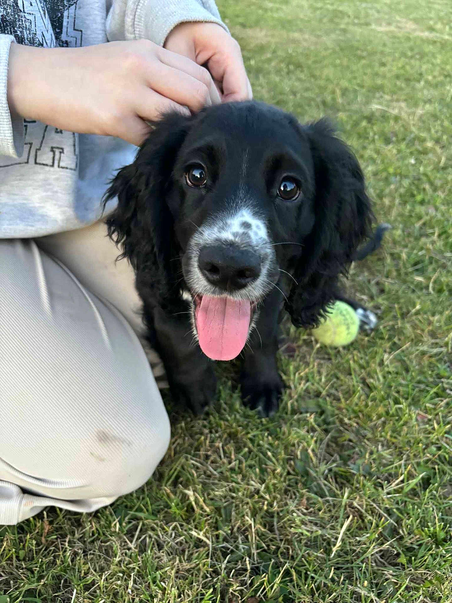 Finley
