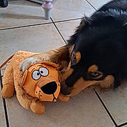 Vadym a rejoint le concours — aidez-le/la à gagner de superbes lots ! dog, toy, plush, lion, floor, tile, indoor, pet, animal, sniffing, curious, paw, stuffed_animal, furniture, legs, brown, black, beige, canine, domestic