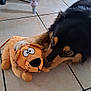 dog, toy, plush, lion, floor, tile, indoor, pet, animal, sniffing, curious, paw, stuffed_animal, furniture, legs, brown, black, beige, canine, domestic