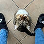 Weston a rejoint le concours — aidez-le/la à gagner de superbes lots ! casual, cat, closeup, curious, domestic_animal, feline, floor, footwear, human_feet, indoor, jeans, looking_up, nike, paws, pet, slides, tabby_cat, tail, tile, whiskers