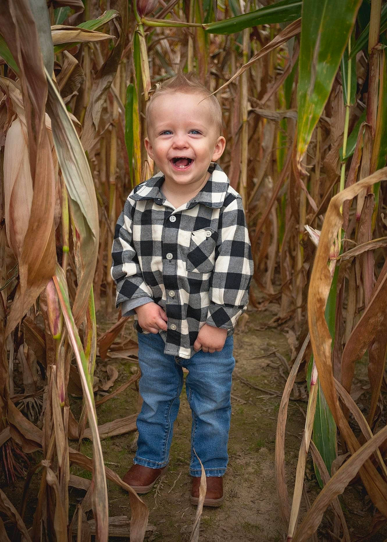 Talon joined the competition — help win amazing prizes! adaptation, baby_toddler_clothing, botany, child, fawn, fun, grass, grass_family, happy, jeans, joy, leaf, pattern, people_in_nature, person, plant, smile, tartan, terrestrial_plant, toddler