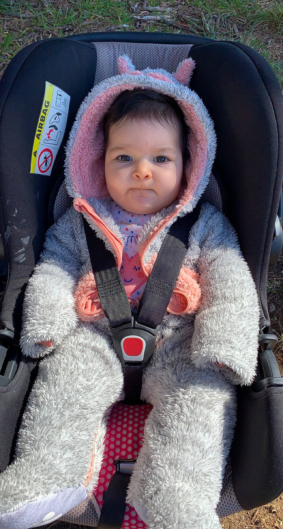 Isabel participe au concours pour gagner de l'argent avec cette photo : baby, baby_carriage, baby_safety, baby_toddler_clothing, cheek, child, comfort, eye, eyebrow, face, freezing, headgear, iris, jacket, lip, outerwear, person, skin, sleeve, textile