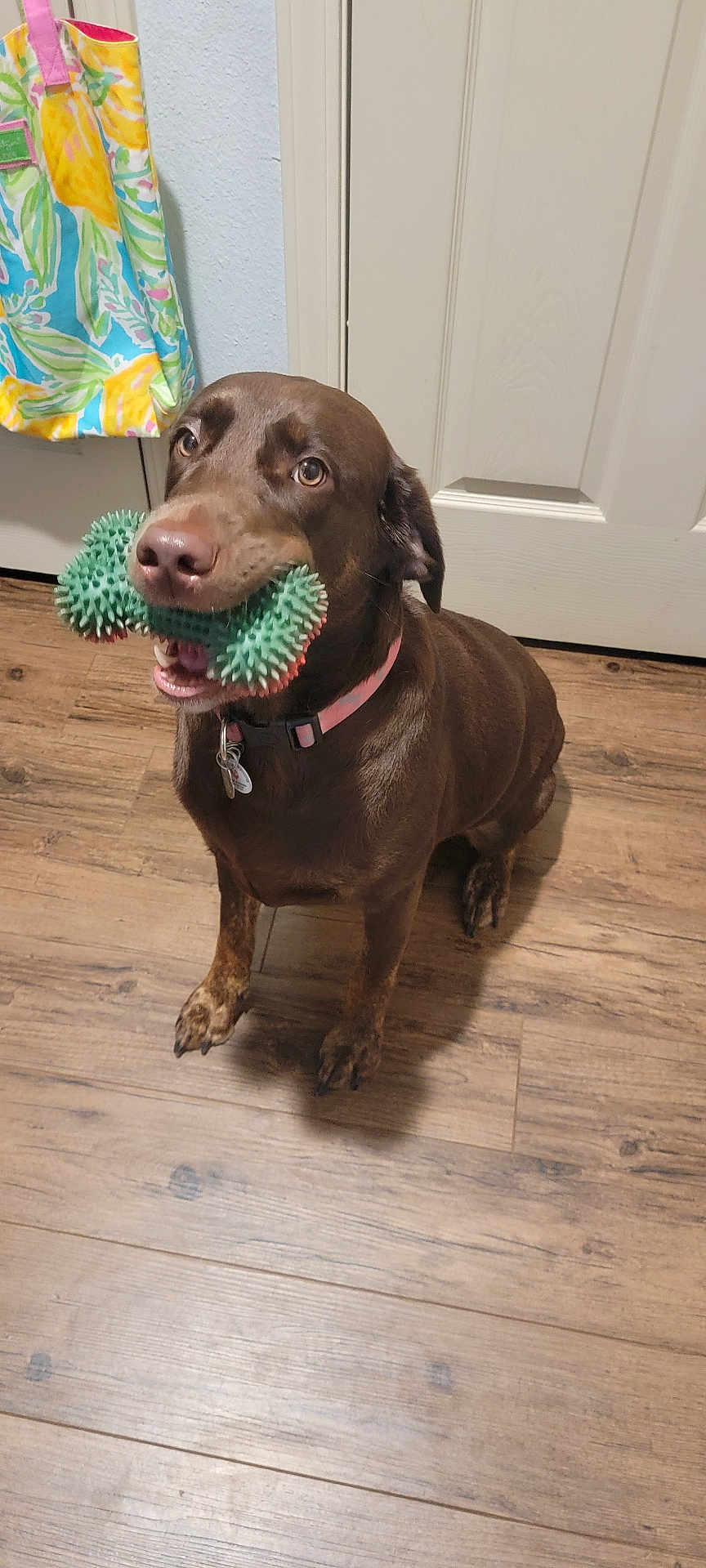 Sadie