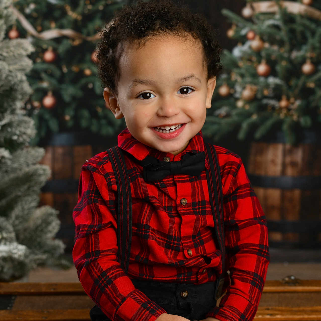 Grayson joined the competition — help win amazing prizes! bodypart, boy, child, clothing, face, finger, fir, hand, happy, head, male, pants, person, photography, plant, portrait, sitting, smile, tree, wood