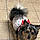 Pepper