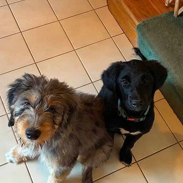 Hazel And Bella