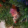 Simon is registered to the contest to win money with this photo: baby, bright, celebration, child, christmas_tree, closeup, cozy, cute, decorations, face, festive, greenery, holiday_lights, indoors, infant, person, pine_branches, sleepwear, soft, wood_floor