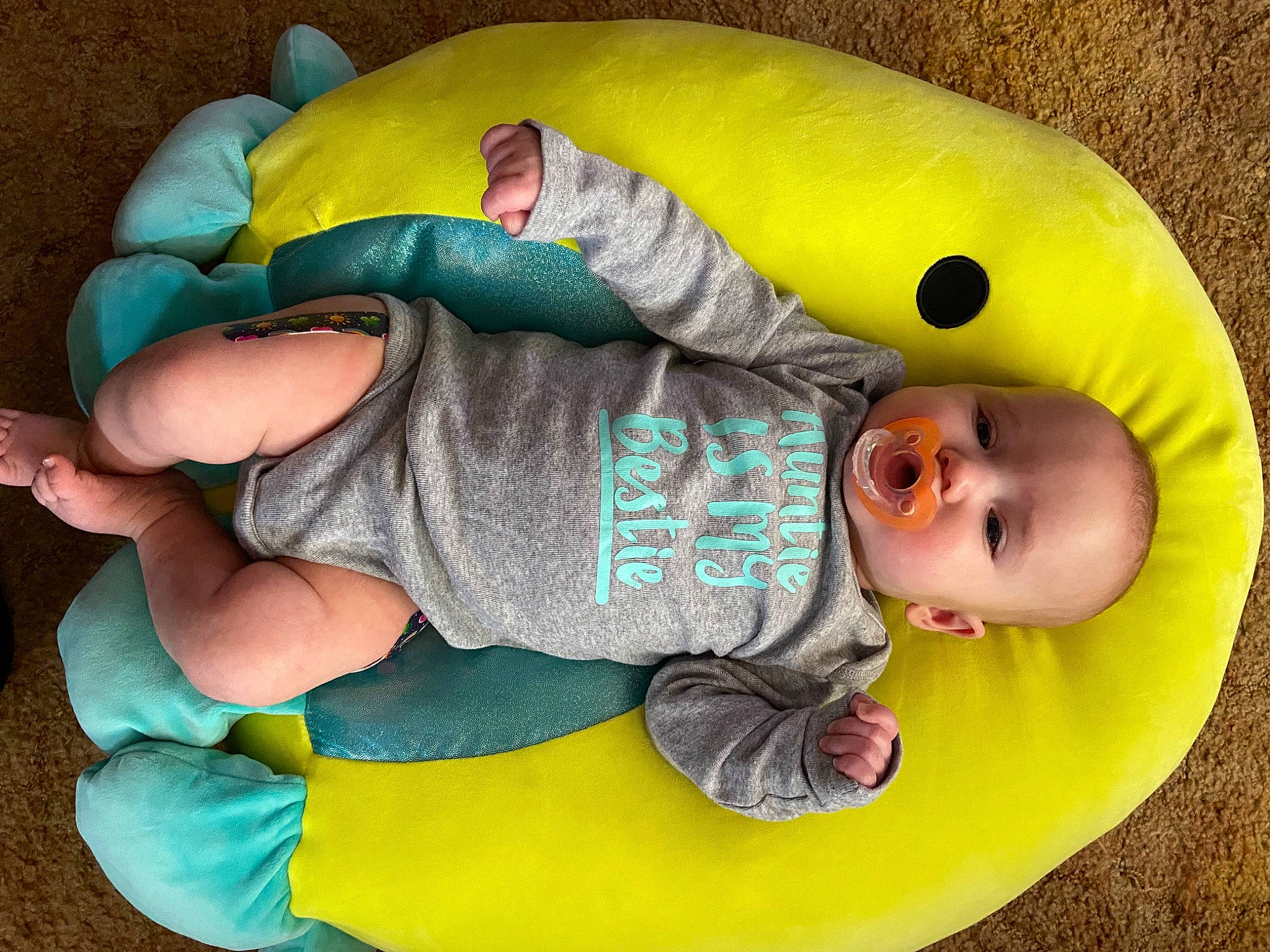 Faith is registered to the contest to win money with this photo: arm, baby, baby_products, baby_safety, baby_sleeping, baby_toddler_clothing, baby_toys, child, comfort, fun, green, head, mammal, person, play, plush, sleeve, smile, stuffed_toy, toddler
