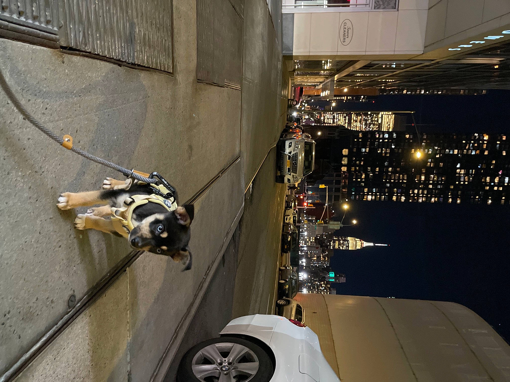 Manhattan is registered to the contest to win money with this photo: auto_part, automotive_design, automotive_exterior, automotive_lighting, automotive_tire, automotive_wheel_system, building, car, city, engineering, event, fender, motor_vehicle, rim, rolling, tire, tire_care, urban_design, vehicle, wheel