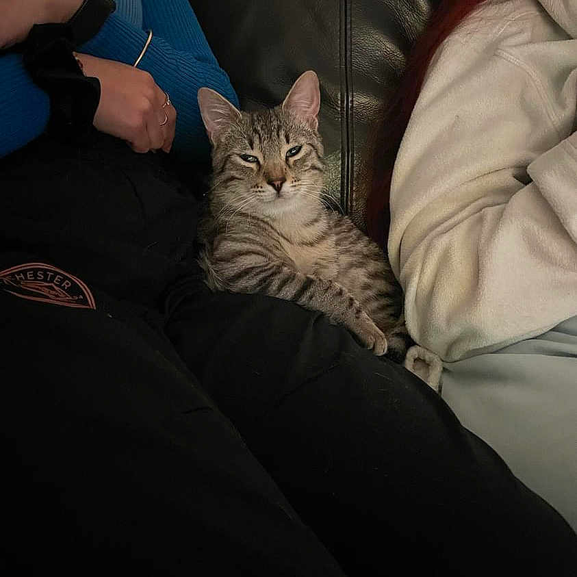 Casanova