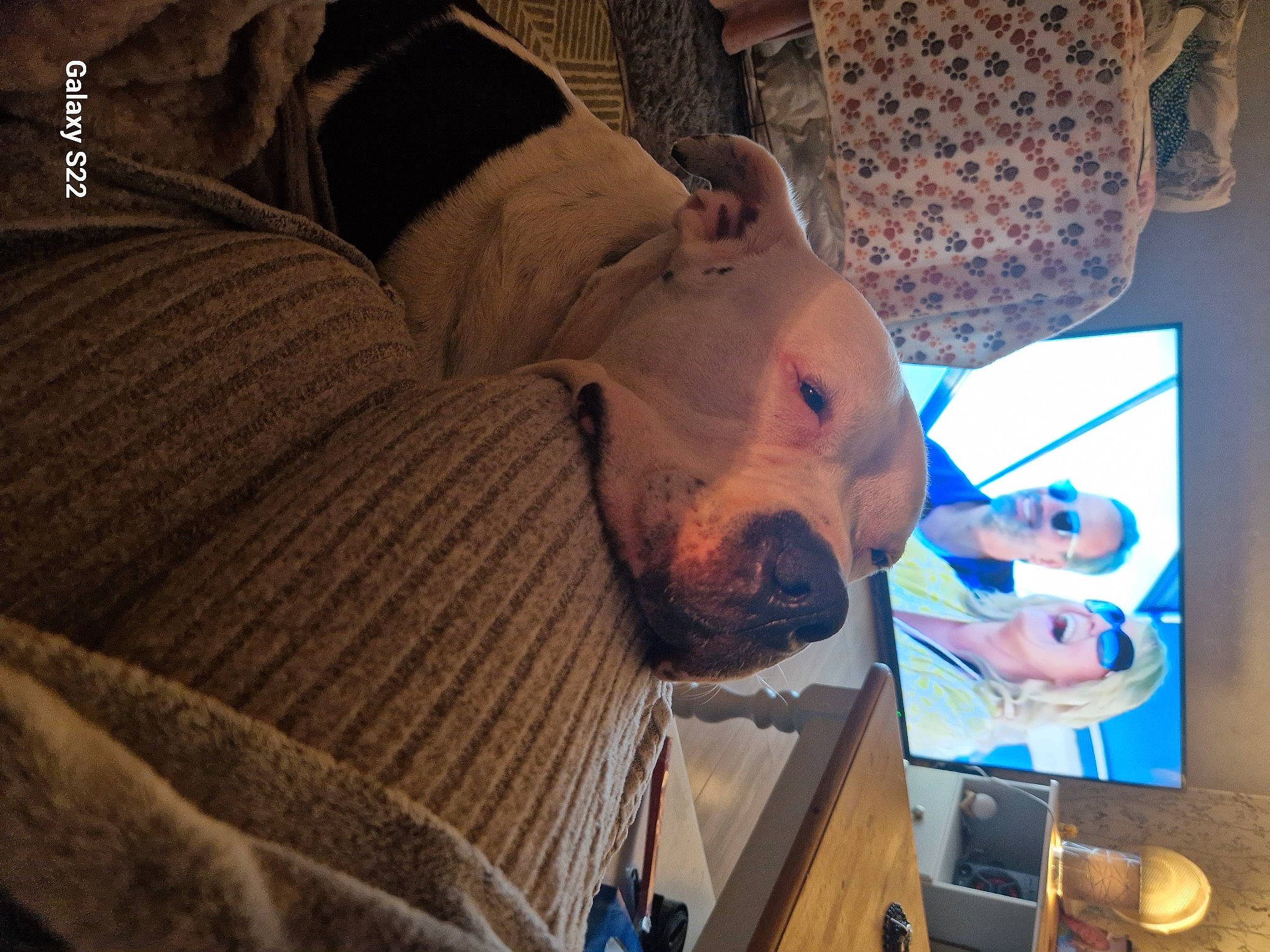 Dizzydin joined the competition — help win amazing prizes! beard, child, comfort, display_device, ear, eyelash, eyewear, facial_hair, fun, hat, moustache, room, selfie, wrinkle