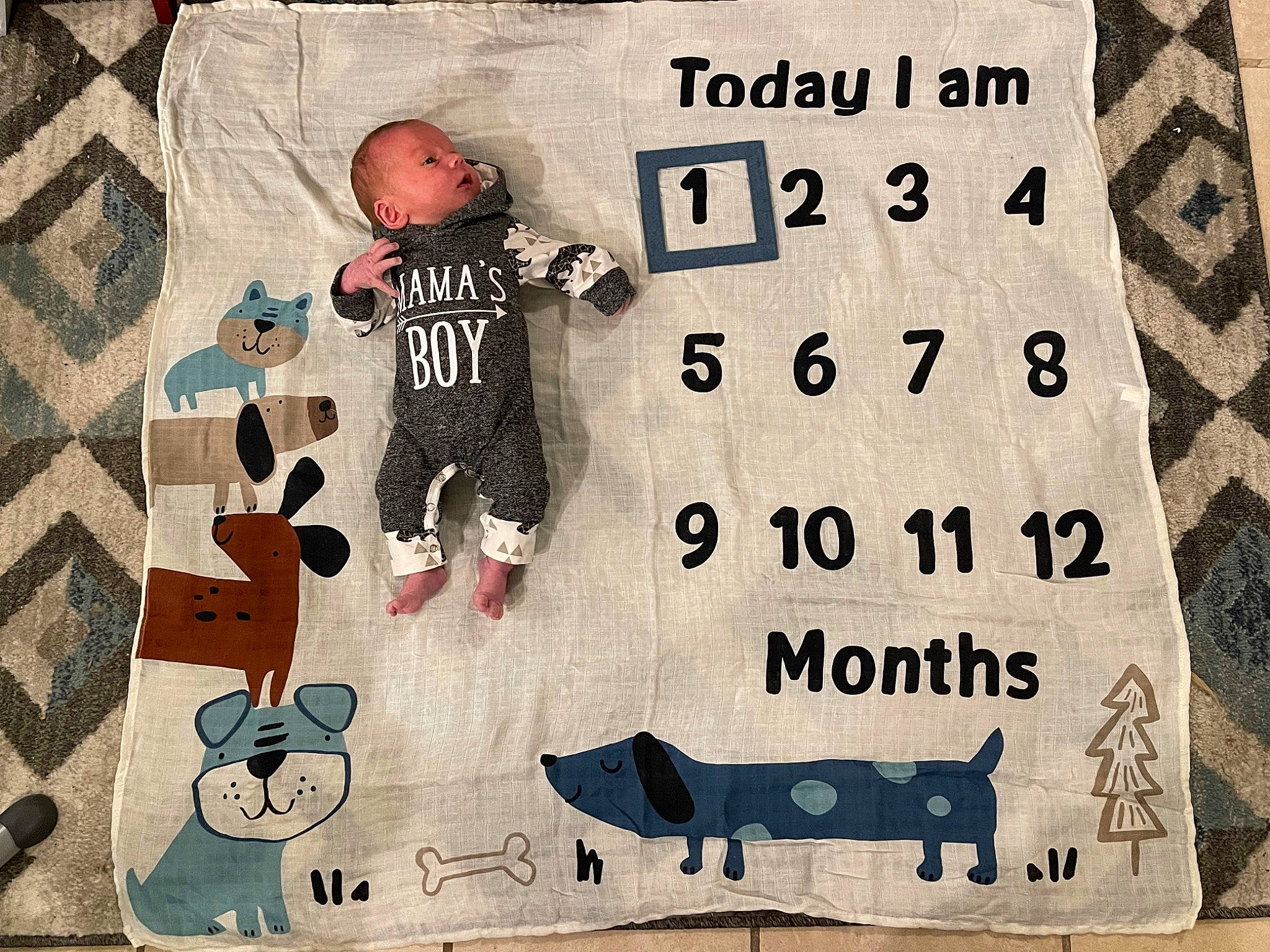 Logan joined the competition — help win amazing prizes! art, baby_toddler_clothing, carmine, child, design, font, graphics, happy, illustration, pattern, person, poster, rectangle, room, sleeve, t_shirt, textile, toddler, visual_arts, wall