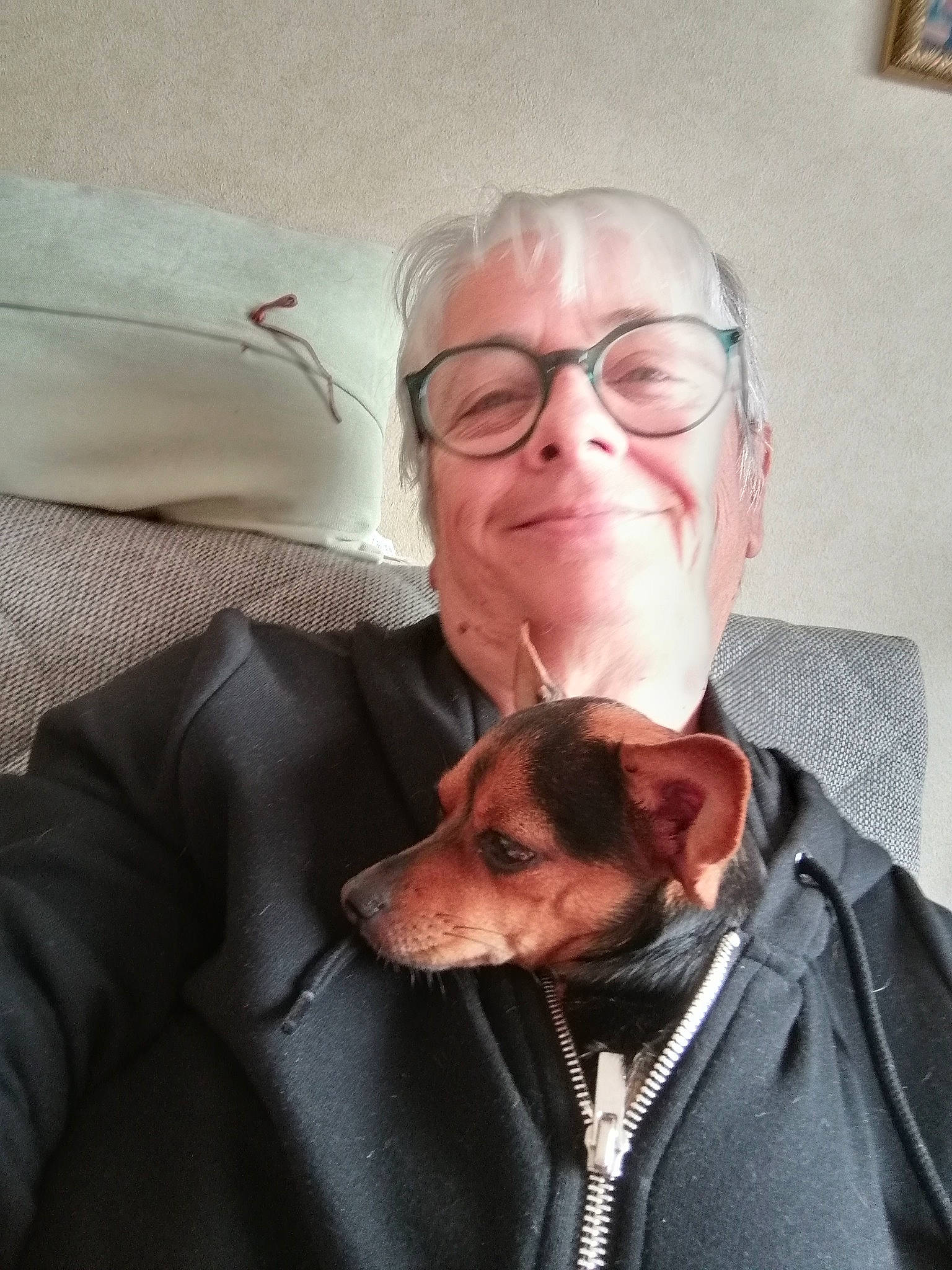 Cheyenne participe au concours pour gagner de l'argent avec cette photo : canidae, carnivore, companion_dog, dog, dog_breed, ear, glasses, head, human, nose, selfie, snout, vizsla
