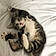 Mowgli