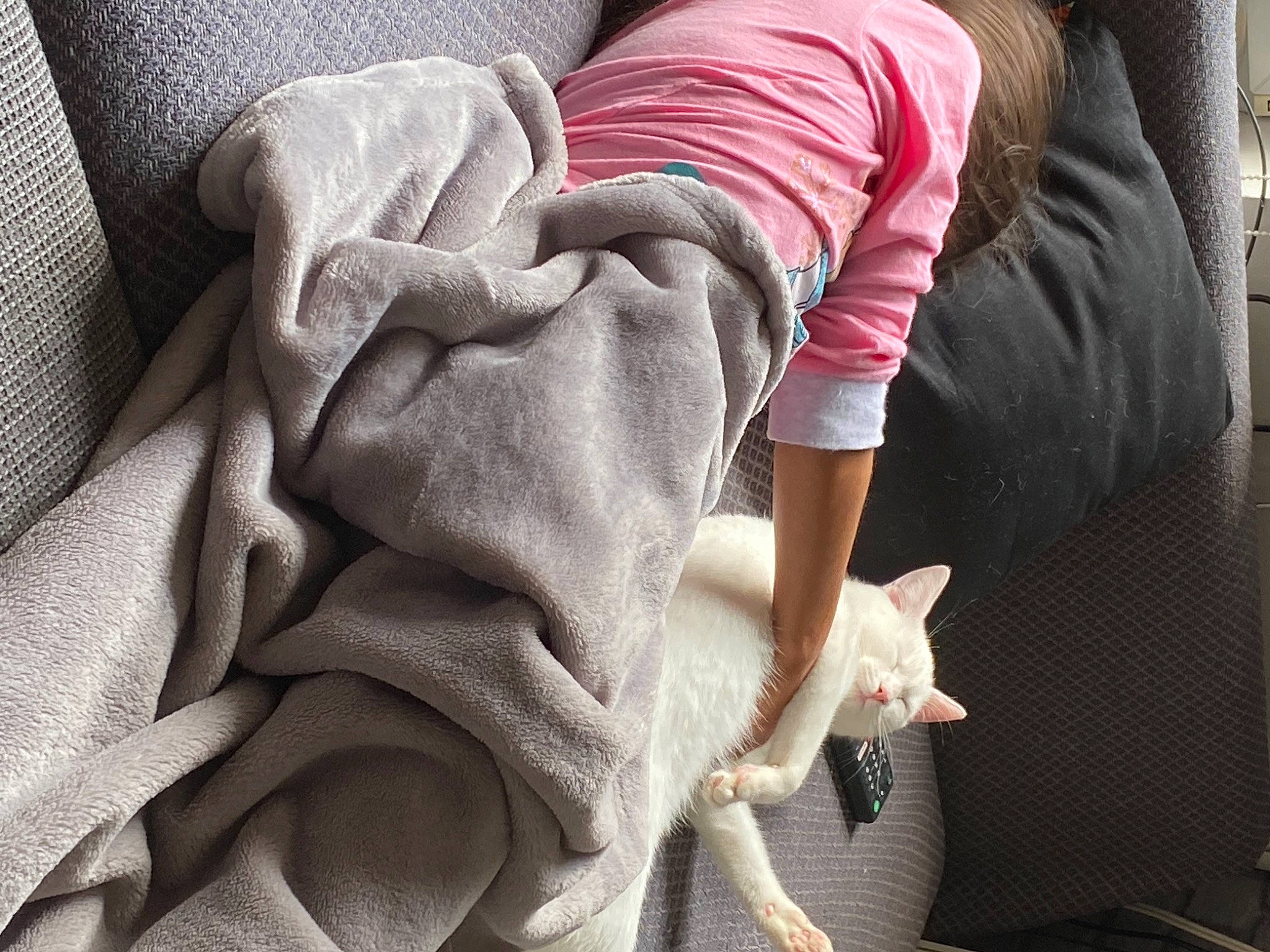 Snowball is registered to the contest to win money with this photo: comfort, denim, elbow, fur, gesture, grey, human_leg, joint, knee, leg, linens, magenta, pattern, sleeve, street_fashion, textile, thigh, tints_and_shades, waist, window