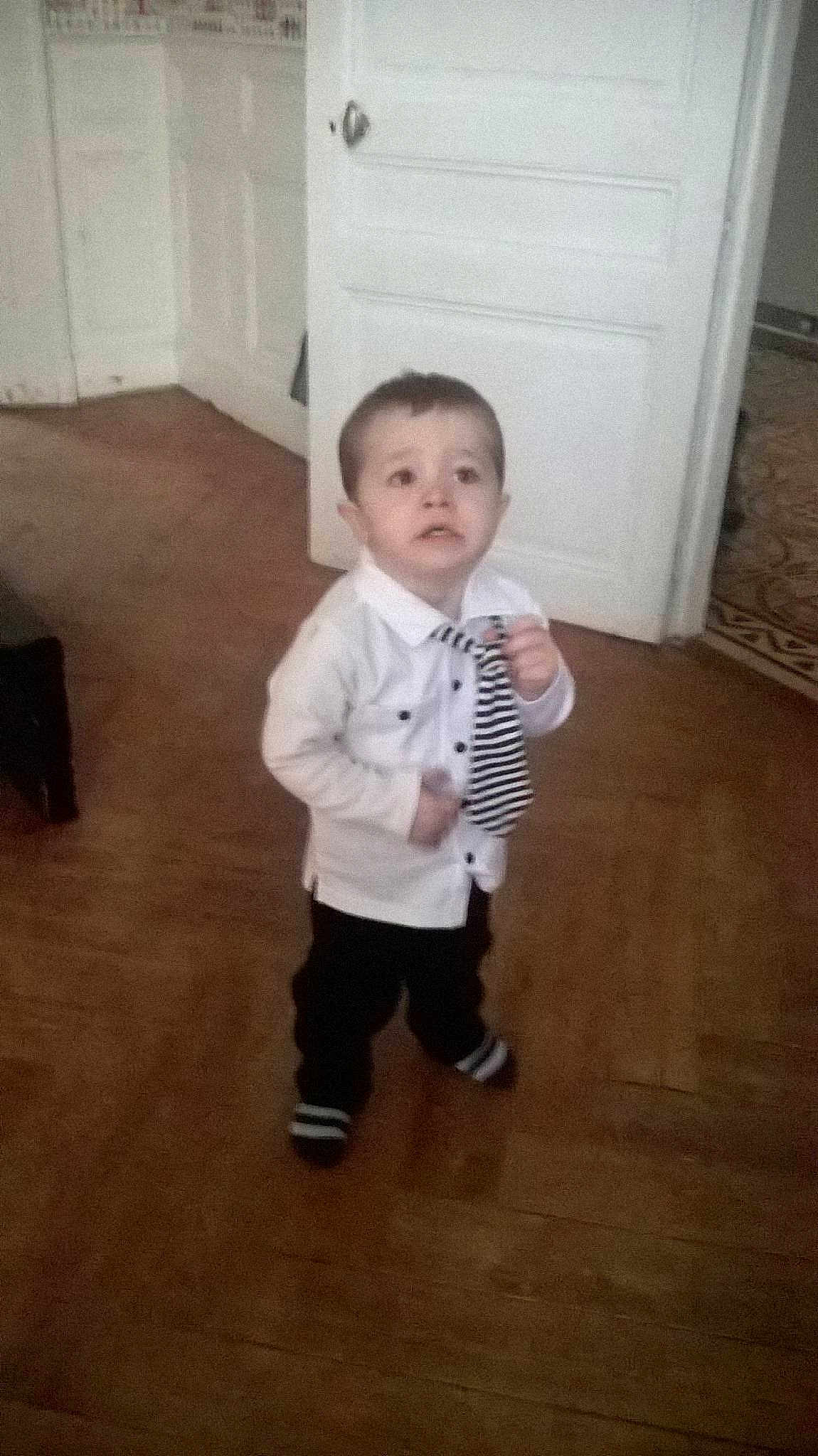 Hayden