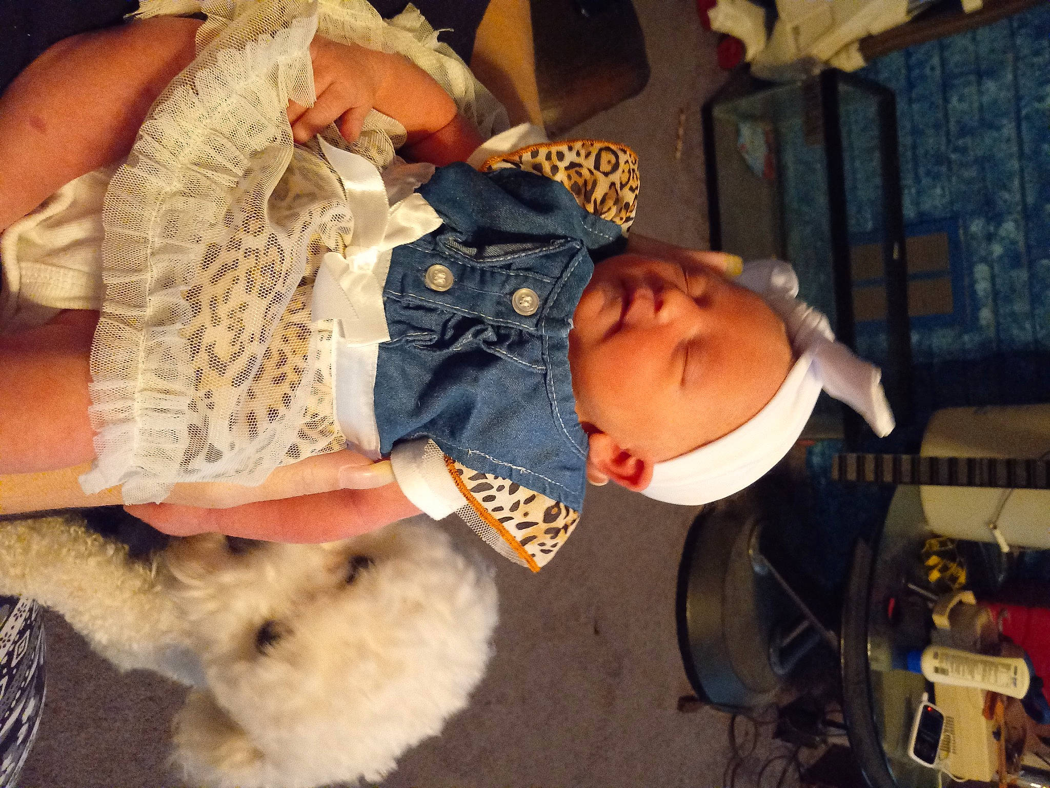 Deborah is registered to the contest to win money with this photo: baby, baby_toddler_clothing, child, companion_dog, curtain, dog_breed, fashion_accessory, felidae, fun, fur, fur_clothing, pattern, paw, person, skin, sunglasses, toddler, toy, toy_dog, whiskers