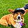Ein
