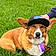 Ein