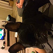 Alba a rejoint le concours — aidez-le/la à gagner de superbes lots !