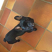 Alba a rejoint le concours — aidez-le/la à gagner de superbes lots !