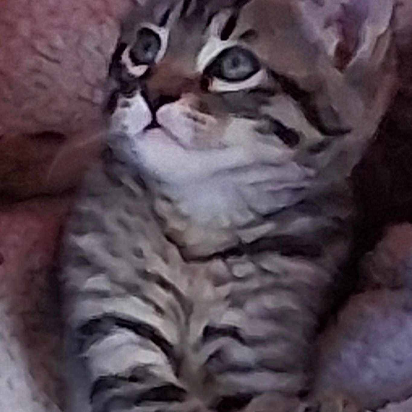 Baby