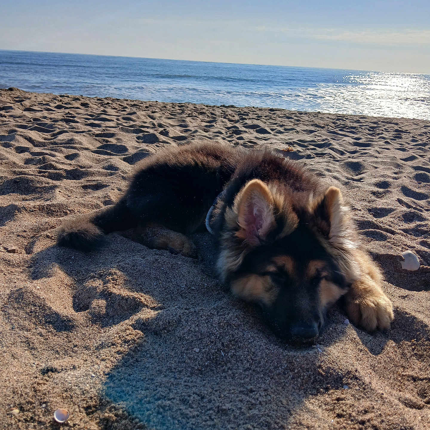 Derek