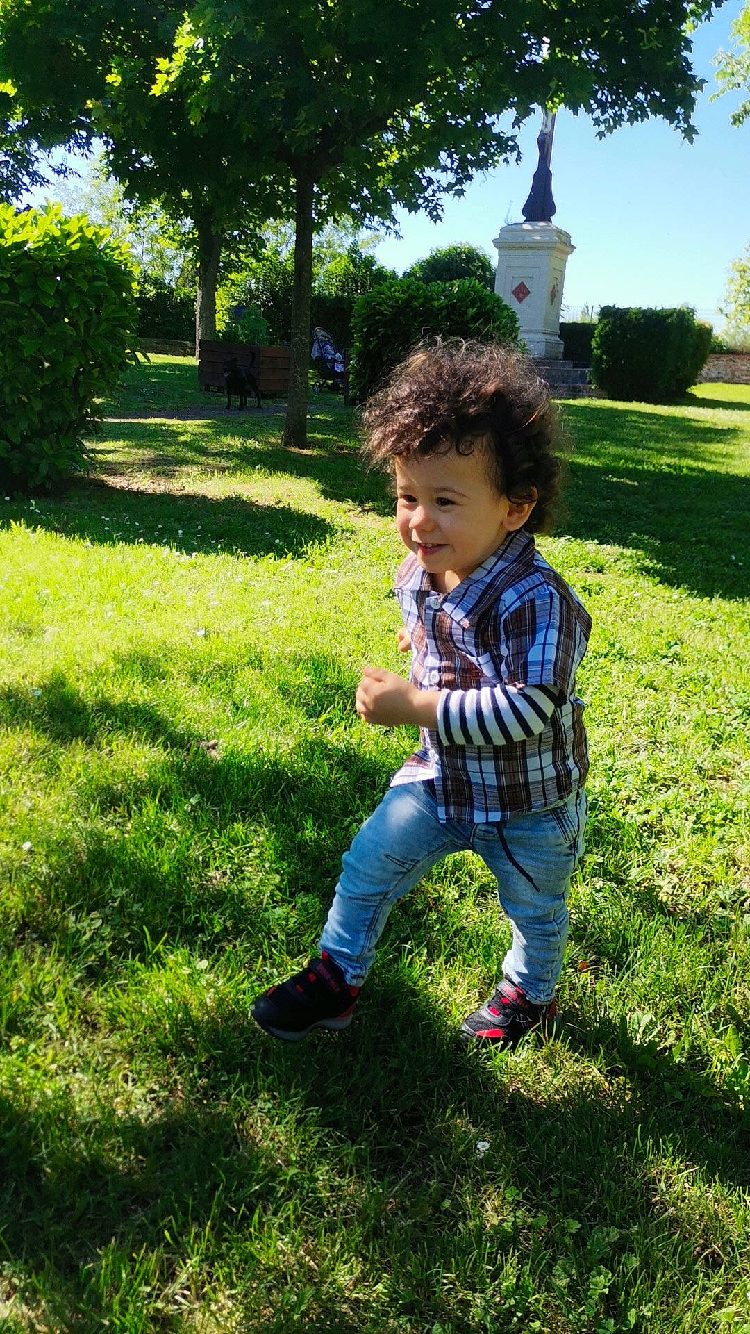 Yanis participe au concours pour gagner de l'argent avec cette photo : botany, grass, grass_family, grassland, green, groundcover, happy, landscape, lawn, leisure, meadow, natural_environment, natural_landscape, people_in_nature, person, plant, shrub, sneakers, sunlight, toddler