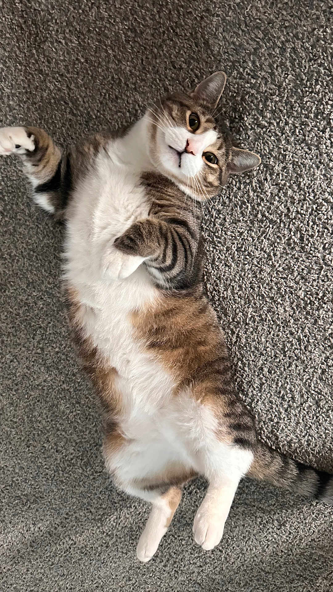 Oliver