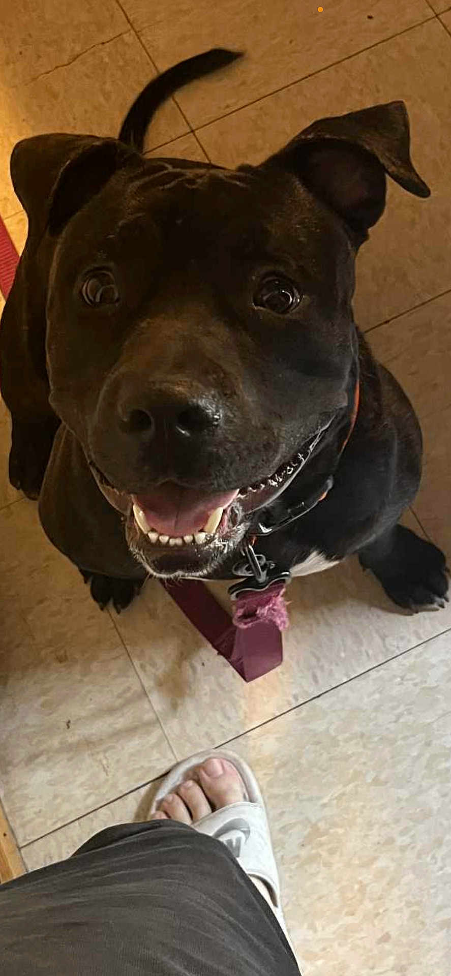 Capone