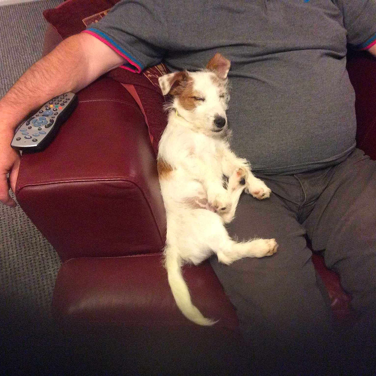 Alfie joined the competition — help win amazing prizes!