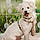 Oddy