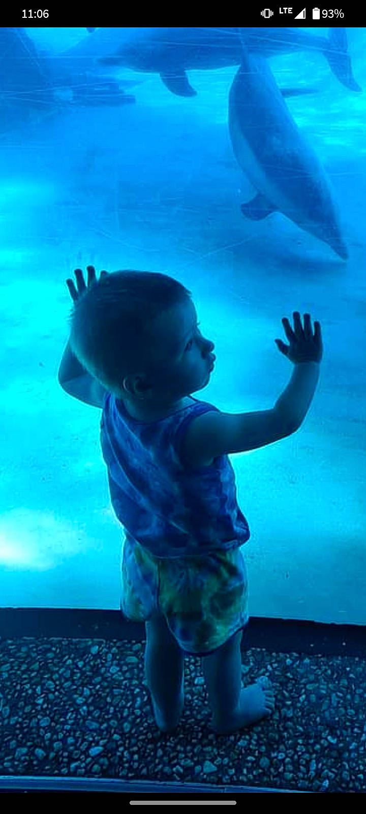 Jaxton is registered to the contest to win money with this photo: aqua, arm, azure, blue, electric_blue, fin, fish, flash_photography, fun, gesture, happy, mammal, organism, person, photograph, shorts, toddler, under_exposed, underwater, vertebrate