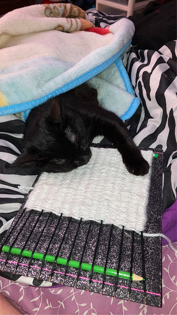 Bay-bay is registered to the contest to win money with this photo: black, black_cat, bombay, carnivore, cat, comfort, companion_dog, dog_breed, domestic_short_haired_cat, felidae, fur, grey, linens, mammal, pattern, small_to_medium_sized_cats, tail, vertebrate, whiskers, wood