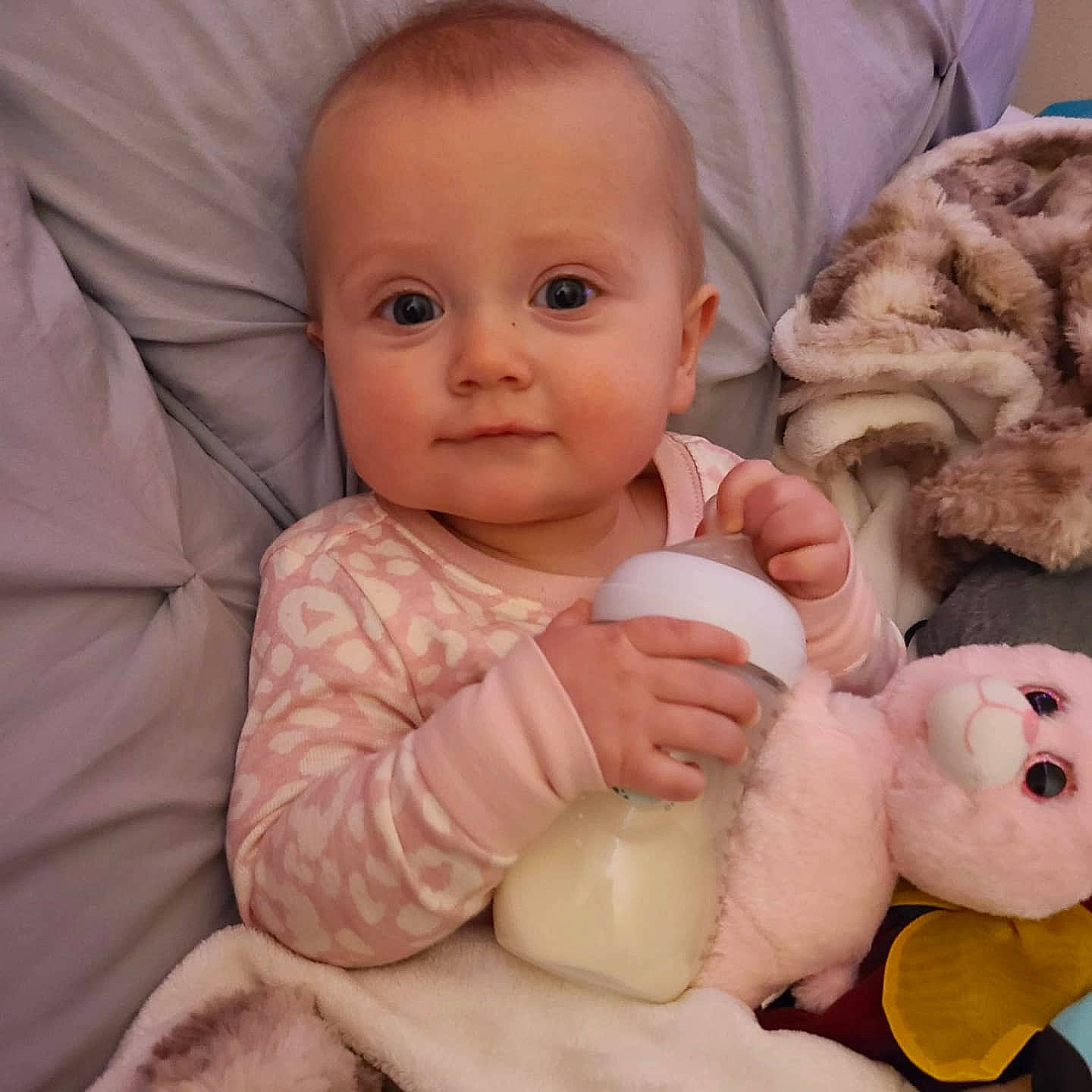 Kaia joined the competition — help win amazing prizes! baby, baby_products, baby_toddler_clothing, cheek, child, comfort, companion_dog, fur, head, nose, person, pink, skin, smile, stuffed_toy, teddy_bear, textile, thumb, toddler, toy