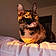 Nala