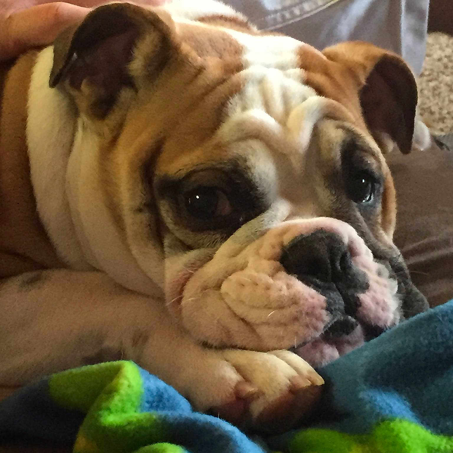 Judge joined the competition — help win amazing prizes!