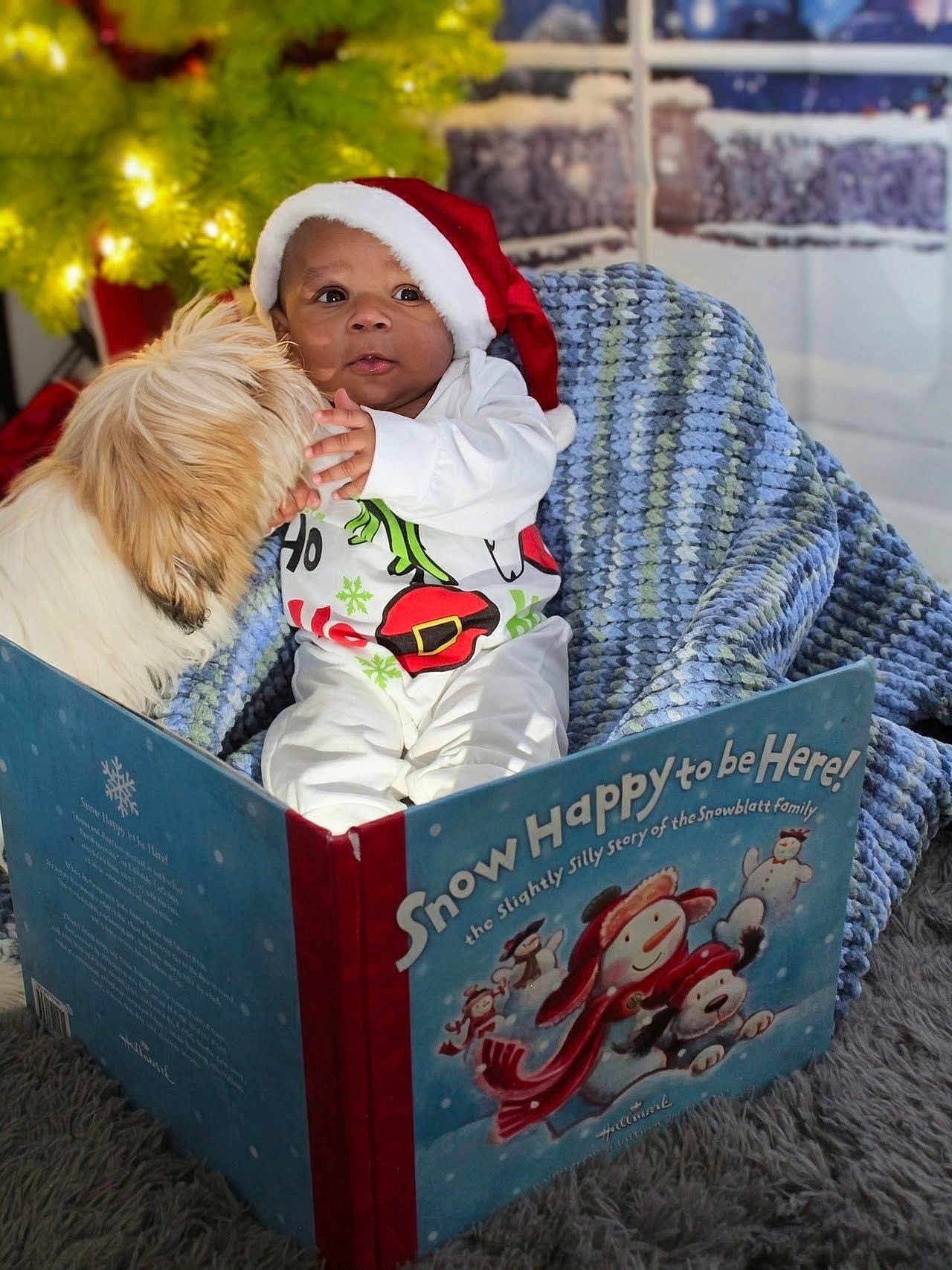 Cyrus is registered to the contest to win money with this photo: baby, dog, santa_hat, blanket, book, holiday, christmas, indoor, cute, reading, festive, child, pet, animal, fur, smiling, cozy, knitted, carpet, warm