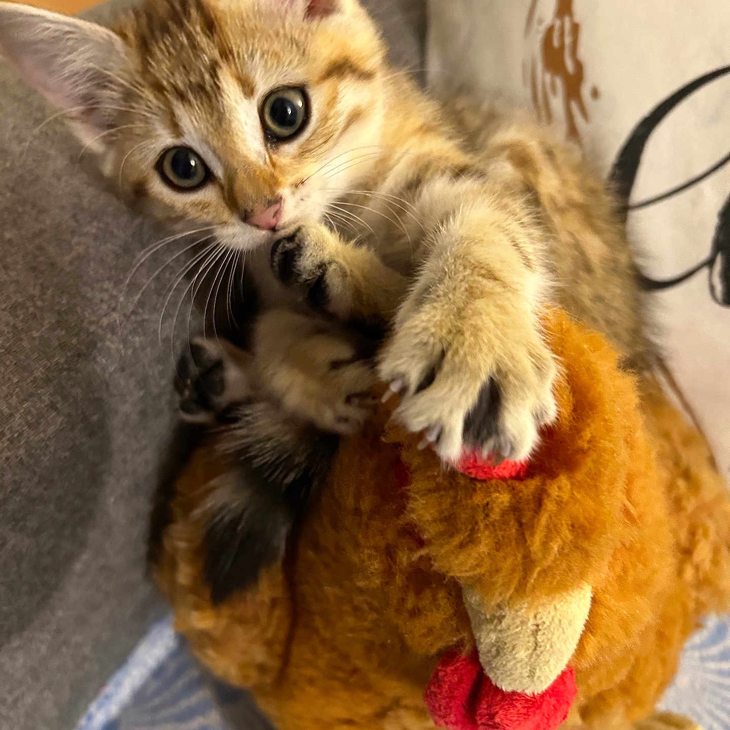 Nala