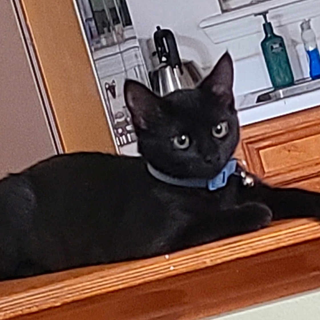 Luna