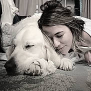 Prince is registered to the contest to win money with this photo: dog, person, pet, golden_retriever, lying_down, cuddle, sleeping, indoor, close_up, pillow, carpet, paw, nose, hair, affection, portrait, black_and_white, relaxed, bedroom, eyes_closed