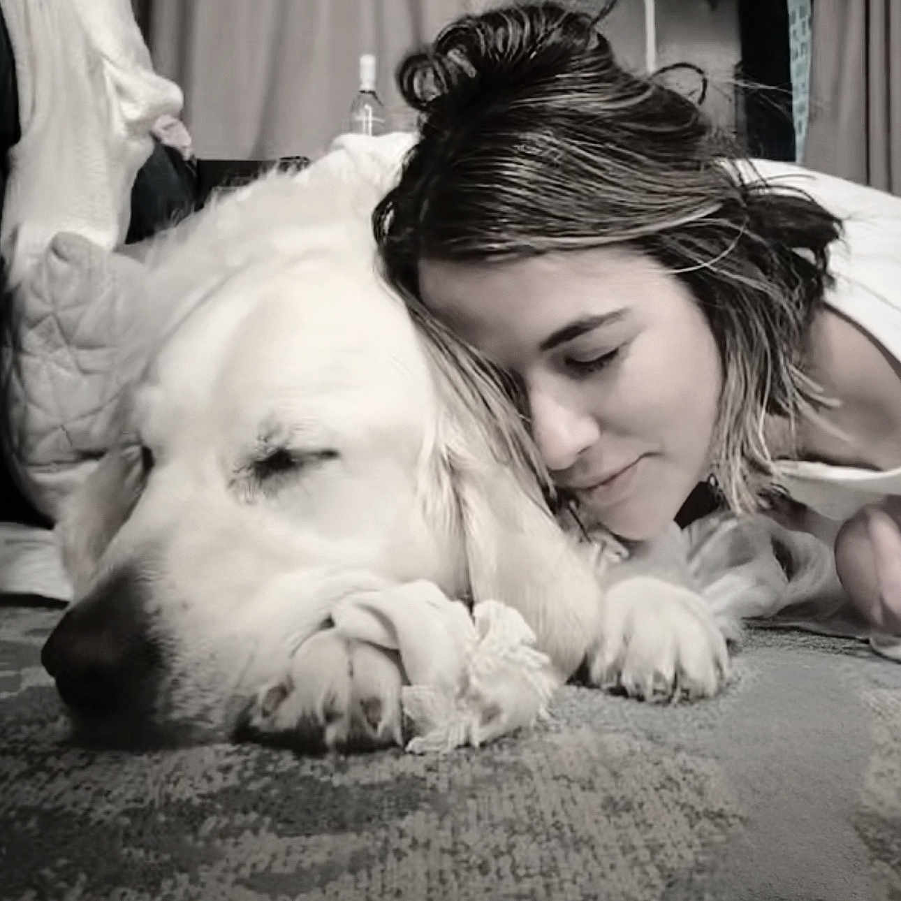 Prince is registered to the contest to win money with this photo: affection, bedroom, black_and_white, carpet, close_up, cuddle, dog, eyes_closed, golden_retriever, hair, indoor, lying_down, nose, paw, person, pet, pillow, portrait, relaxed, sleeping