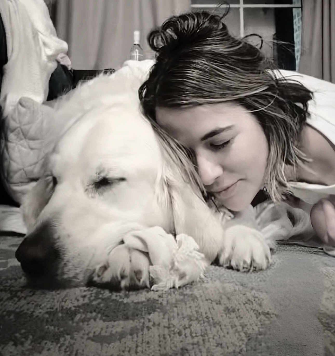 Prince is registered to the contest to win money with this photo: dog, person, pet, golden_retriever, lying_down, cuddle, sleeping, indoor, close_up, pillow, carpet, paw, nose, hair, affection, portrait, black_and_white, relaxed, bedroom, eyes_closed