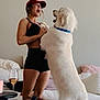 cap, carpet, cushion, dog, drink, glass, happy, indoor, interaction, joy, living_room, pet, playful, shorts, sofa, sportswear, standing, table, white_dog, woman