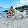 Prince is registered to the contest to win money with this photo: animal, beach, casual_clothing, clouds, dog, footprints, happy, leash, log, nature, outdoor, pawprints, pet, recreation, sand, sky, summer, trees, water, woman