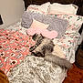 cat, grey_cat, bed, pillow, heart_pillow, blanket, throw_blanket, floral_bedding, wooden_headboard, plush, furry, sleeping, indoor, pet, tail, hardwood_floor, barrel, cozy, decor, quilt