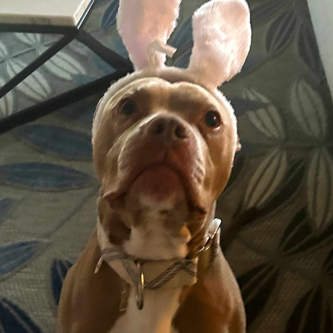 Capone