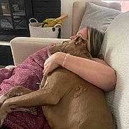 Capone is registered to the contest to win money with this photo: dog, person, couch, blanket, snuggling, indoor, window_blinds, basket, relaxed, brown_dog, cozy, arm, living_room, pillow, embrace, resting, furniture, casual, comfort, home